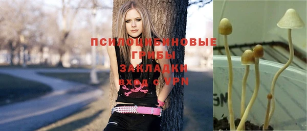 каннабис Аркадак