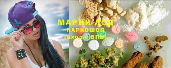 гидра Горнозаводск