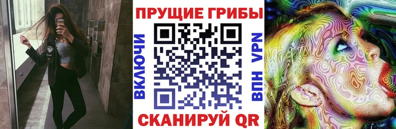 Галлюциногенные грибы Psilocybe  Изобильный 